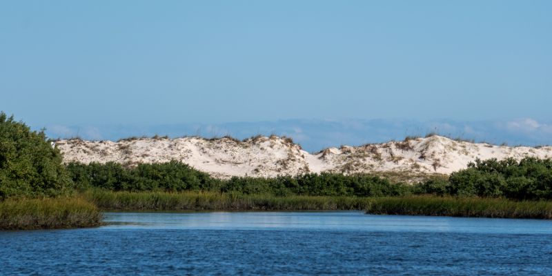 Anastasia state park in St Augustine, Florida. Picture shows sand dunes and wetlands.